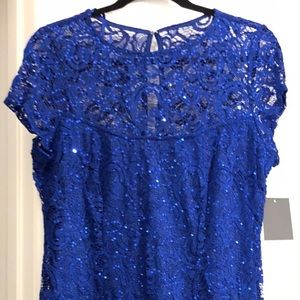 Lace Sequined Dress